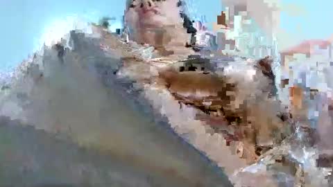 Tabby online show from 2, 3, 2026