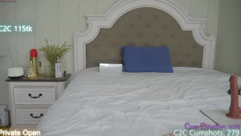 Aspen Wild online show from 13, 12, 2024