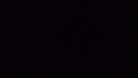 assfdanchen online show from 24, 9, 2025