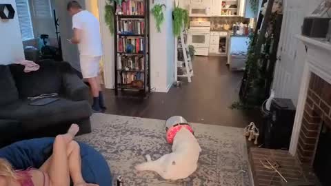 Aurora and Orion online show from 3, 11, 2025