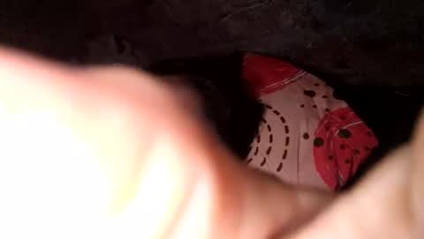 auroraangels1 online show from 1, 4, 2026