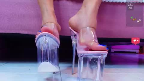 Aurora online show from 16, 1, 2026