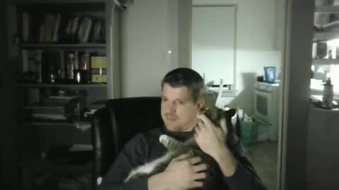 Avenger online show from 2, 2, 2025