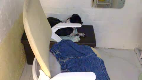 Snapshot of averageuncut1 chatting on 9, 9, 2025 Rhian online show from 9, 9, 2025