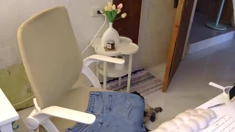 Snapshot of averageuncut1 chatting on 21, 11, 2025 Rhian online show from 21, 11, 2025