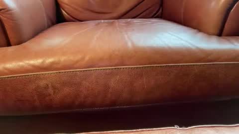 avgdiver online show from 18, 1, 2026