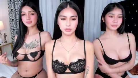 avimiller online show from 21, 2, 2026