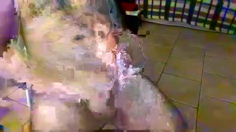 Snapshot of axisbest chatting on 26, 10, 2025 axisbest online show from 26, 10, 2025