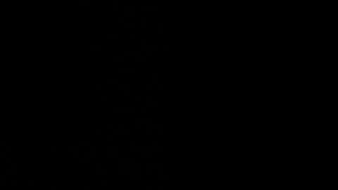 Ayden Miller online show from 14, 12, 2024