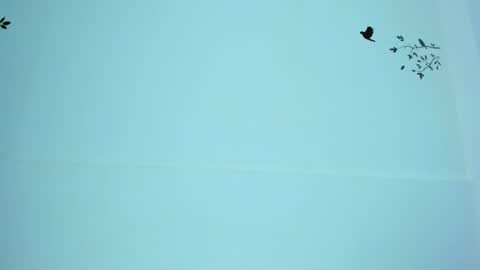 Snapshot of ayheleen_sexygirl3 chatting on 12, 3, 2025 Mariana online show from 12, 3, 2025