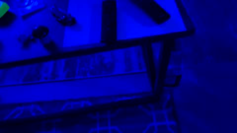 Snapshot of ayla_ty chatting on 28, 9, 2025 AylaTy online show from 28, 9, 2025