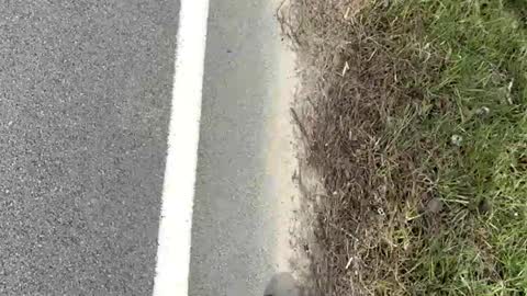 Snapshot of ayla_ty chatting on 15, 3, 2026 AylaTy online show from 15, 3, 2026