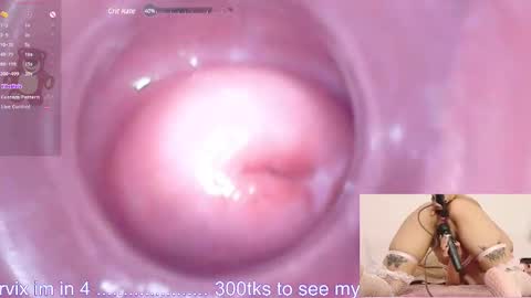   online show from 19, 12, 2024