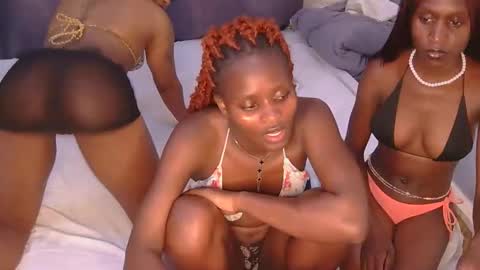 Azalea online show from 1, 3, 2026