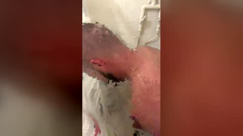 b44212157 online show from 14, 4, 2026