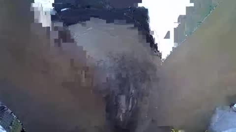 baby_facii online show from 2, 11, 2025