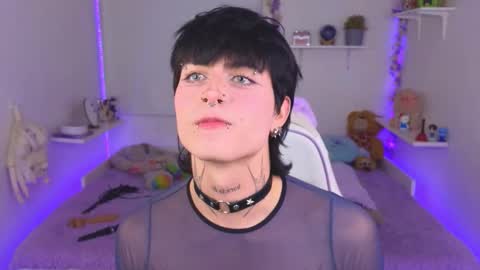  Dani  online show from 31, 10, 2025