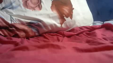 Andie online show from 8, 11, 2025