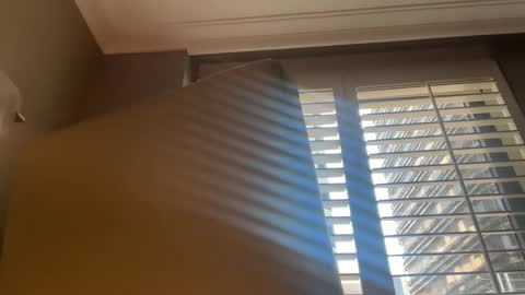 bcin online show from 21, 9, 2025