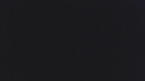 backchat14 online show from 1, 11, 2025