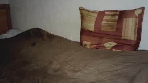 Shane  The cutest badass in the world online show from 12, 2, 2025