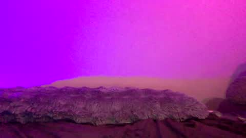 Snapshot of baddiejess618433 chatting on 14, 12, 2024 baddiejess618433 online show from 14, 12, 2024