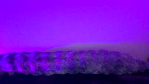 Snapshot of baddiejess618433 chatting on 18, 12, 2024 baddiejess618433 online show from 18, 12, 2024