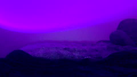 Snapshot of baddiejess618433 chatting on 5, 1, 2025 baddiejess618433 online show from 5, 1, 2025