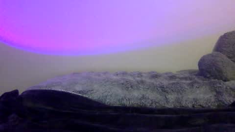 Snapshot of baddiejess618433 chatting on 5, 1, 2025 baddiejess618433 online show from 5, 1, 2025