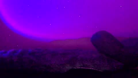 Snapshot of baddiejess618433 chatting on 11, 1, 2025 baddiejess618433 online show from 11, 1, 2025