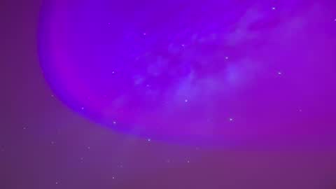 Snapshot of baddiejess618433 chatting on 23, 2, 2025 baddiejess618433 online show from 23, 2, 2025