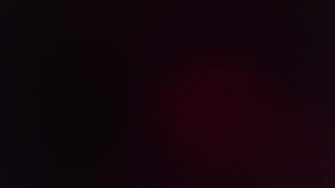 bambifarrina online show from 9, 10, 2025