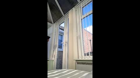 Snapshot of bambifkme chatting on 8, 4, 2026 bambifkme online show from 8, 4, 2026