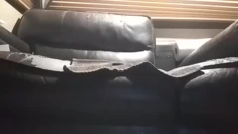 Snapshot of baobabtree10 chatting on 28, 10, 2025 baobabtree10 online show from 28, 10, 2025