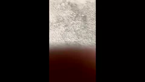 BarbaraDavid online show from 10, 3, 2026