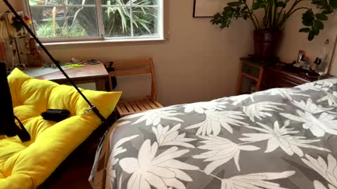 Snapshot of barrymccockinher22 chatting on 20, 12, 2024 Tasten Spike online show from 20, 12, 2024