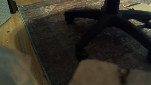 Snapshot of bartender3127 chatting on 16, 1, 2025 bartender3127 online show from 16, 1, 2025