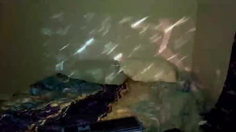 bathtimeboii online show from 11, 1, 2026