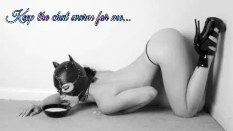 Snapshot of batmansfavoritewife chatting on 8, 7, 2026 Your always sexy Harley online show from 8, 7, 2026