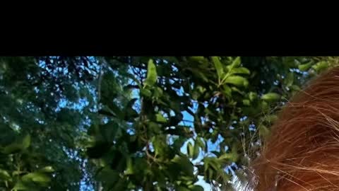 Battyredhair online show from 6, 4, 2026