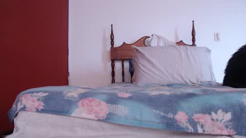 bayonette_black online show from 1, 10, 2025