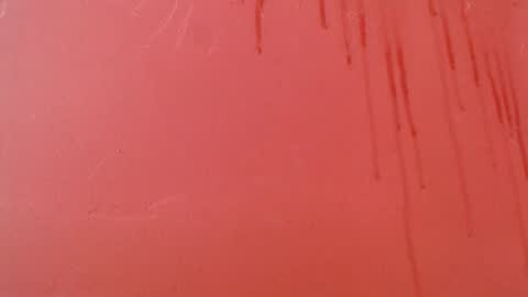 bayonette_black online show from 8, 11, 2025