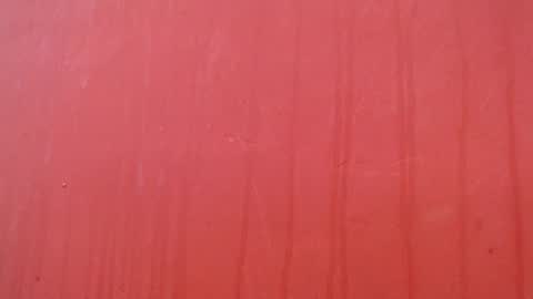 bayonette_black online show from 17, 12, 2025