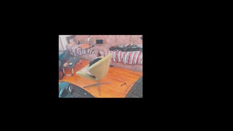 Snapshot of bbc_cagouler chatting on 19, 12, 2025 Masked BBC XXL online show from 19, 12, 2025