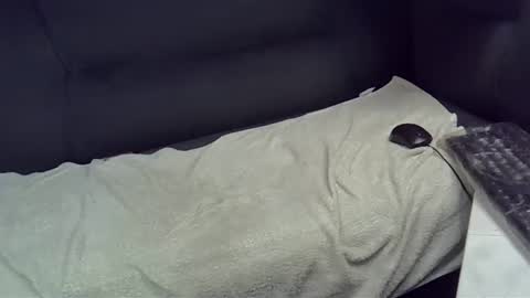 Snapshot of bbc_highness chatting on 21, 2, 2025 bbc_highness online show from 21, 2, 2025