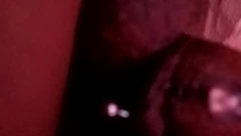 Snapshot of bcfalcon69 chatting on 26, 5, 2026 bcfalcon69 online show from 26, 5, 2026