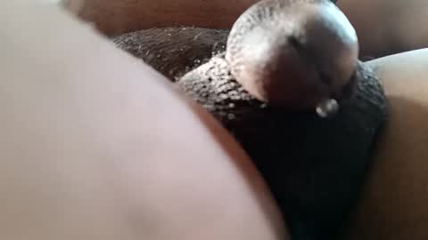 Snapshot of bcfalcon69 chatting on 7, 6, 2026 bcfalcon69 online show from 7, 6, 2026
