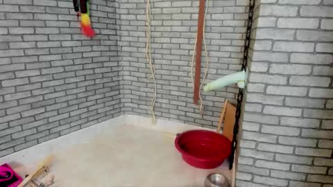 Meduza  online show from 17, 11, 2025