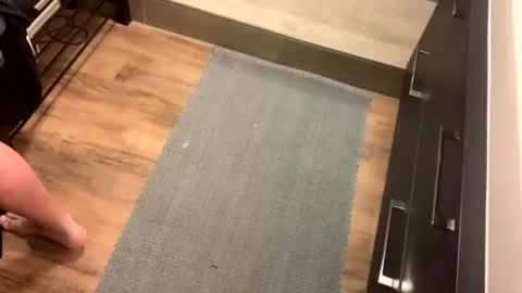 bdsm_toyboy online show from 10, 1, 2026