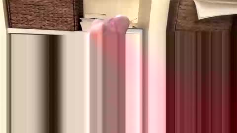 Snapshot of beachguy469 chatting on 18, 11, 2025 BeachGuy online show from 18, 11, 2025